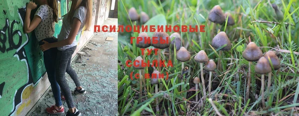 синтетический гашиш Алексин