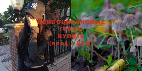 синтетический гашиш Алексин