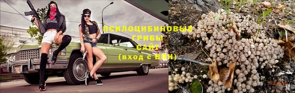 прущая мука Новозыбков